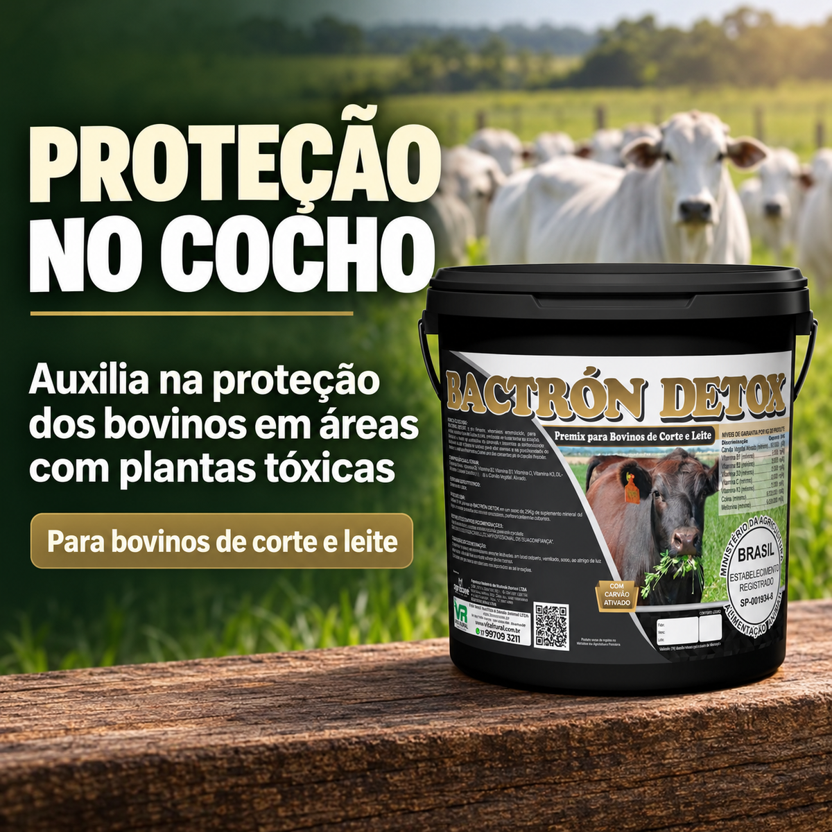 Bactrón Detox: proteção no cocho para bovinos